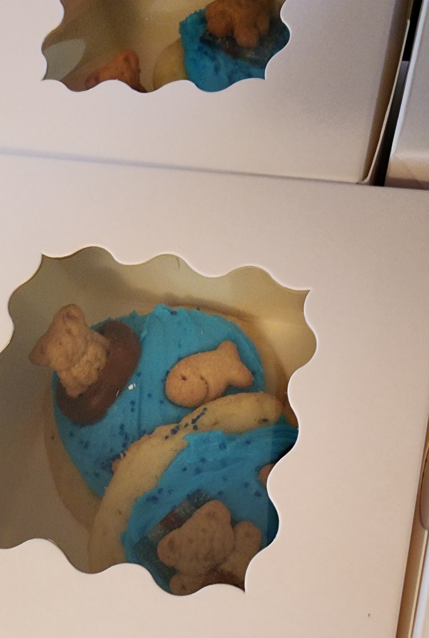 Summertime Fun Cookies