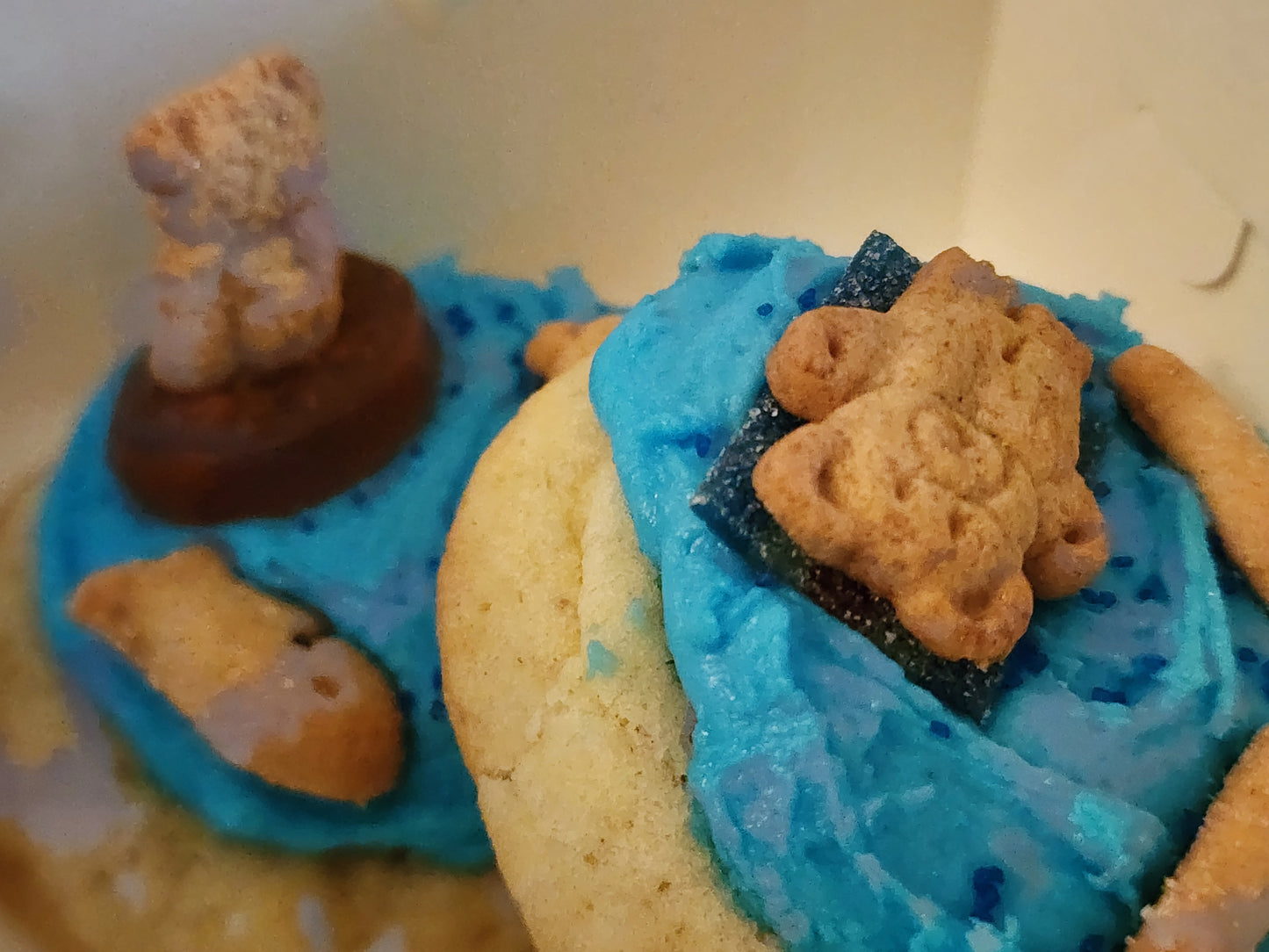 Summertime Fun Cookies