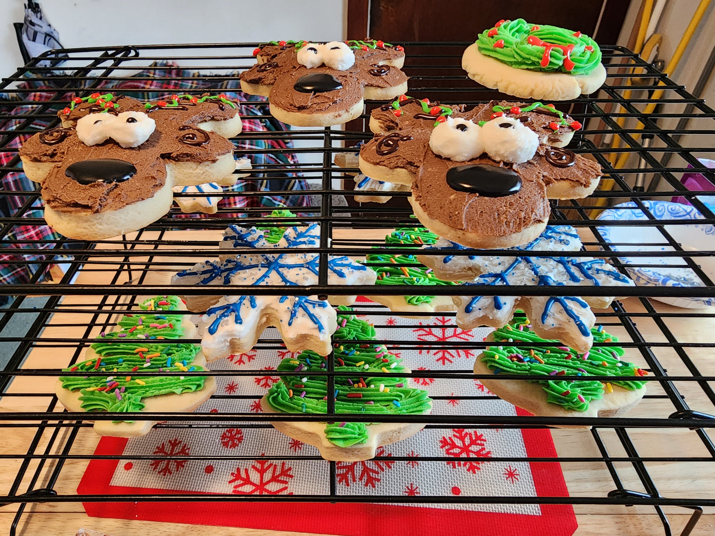 Cut-Out Cookies Decorated