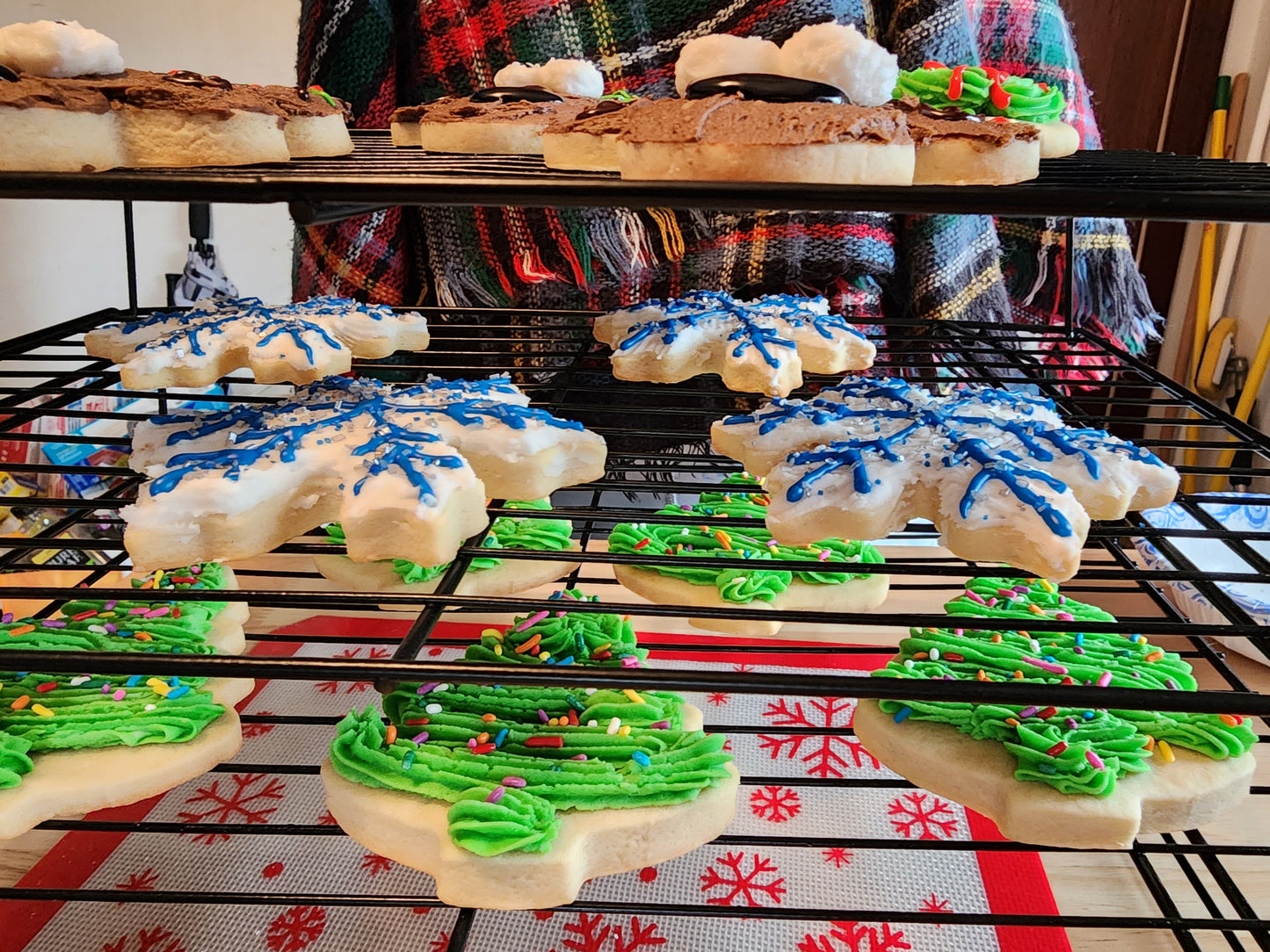 Cut-Out Cookies Decorated