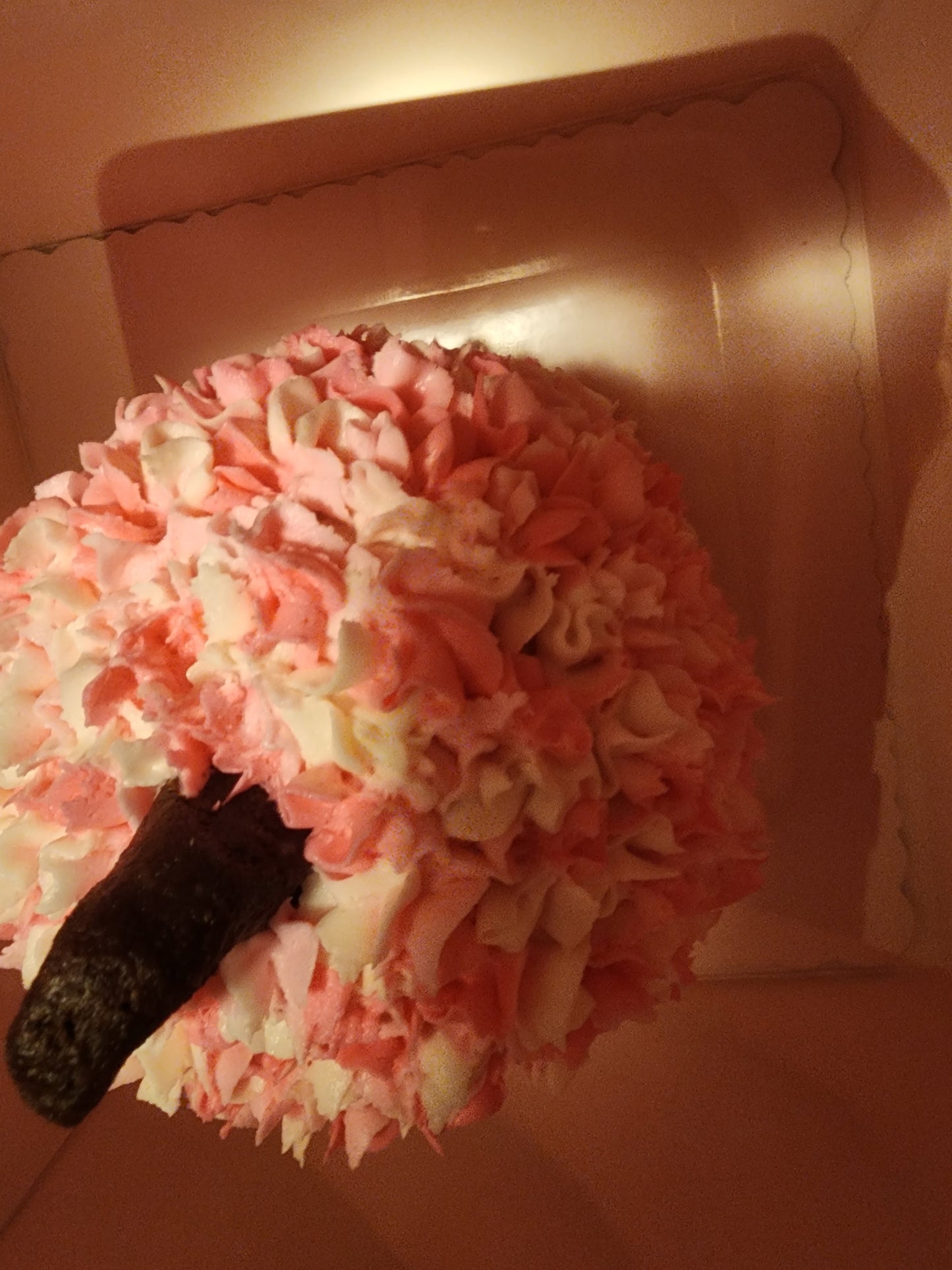 Basic 1st Birthday Package