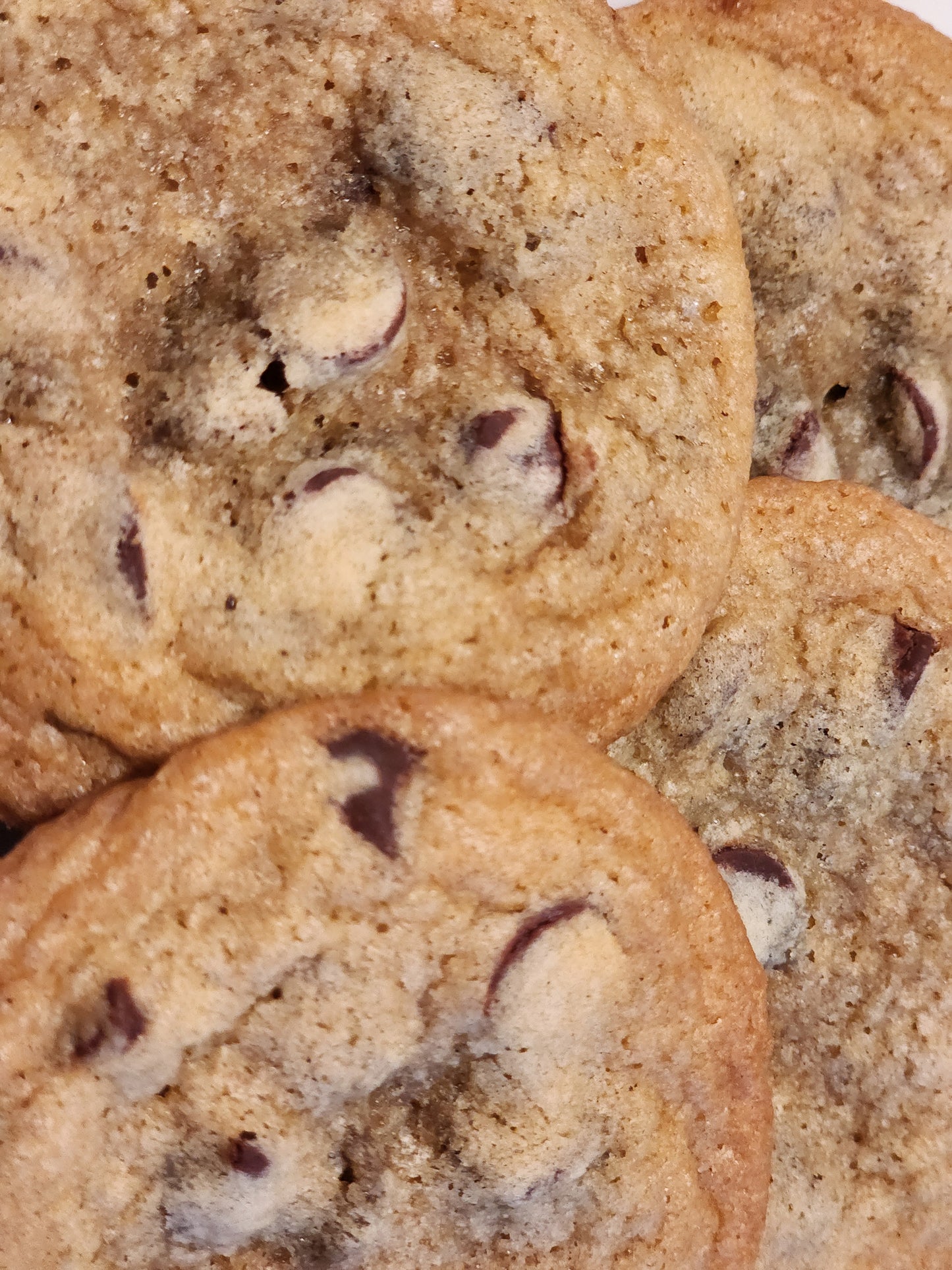 Chocolate Chip Cookies